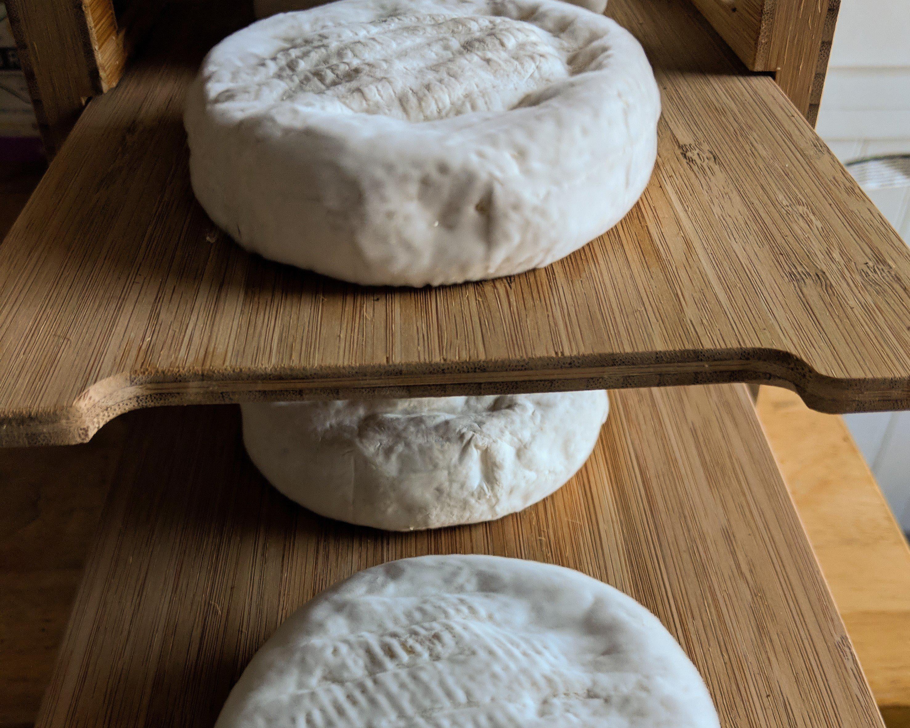 How To Store & Ripen Camembert Cheese – Cheese Grotto