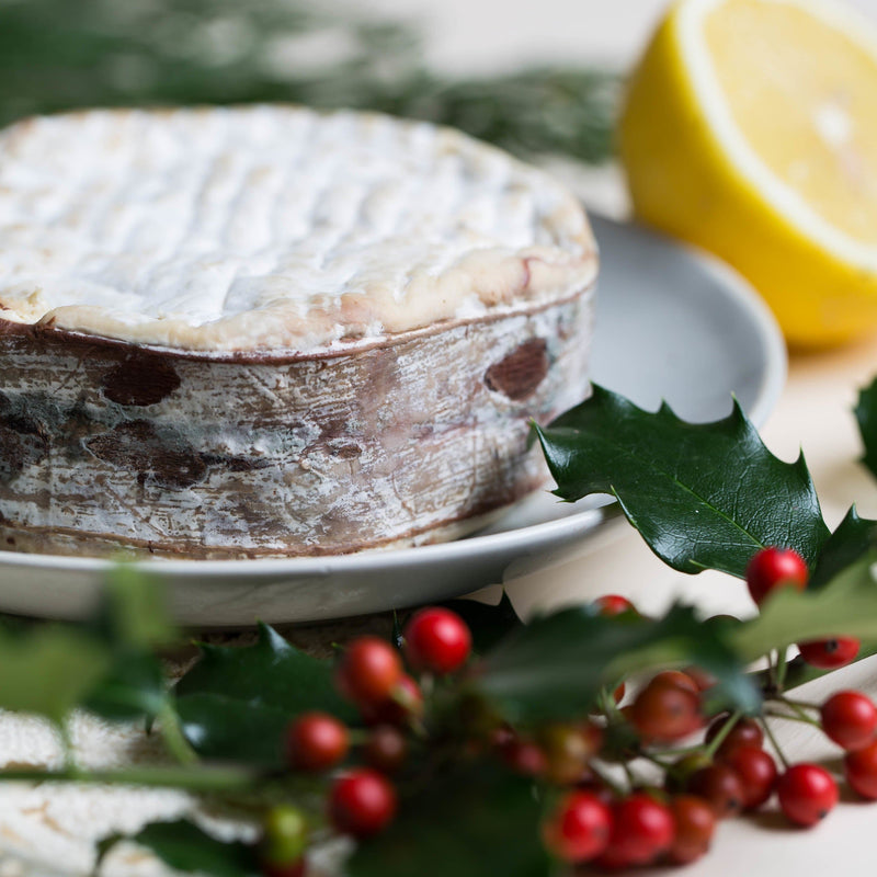 Cheese Grotto Spruce-Bark Wrapped Cheese Online. Best Cheese Gift.