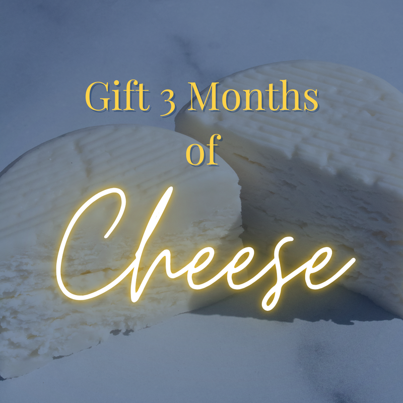 Cheese Grotto Gift 3 Months of Curated Artisan Cheese