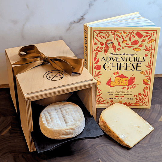 Cheese Grotto Mezzo & Adventures in Cheese Book Bundle
