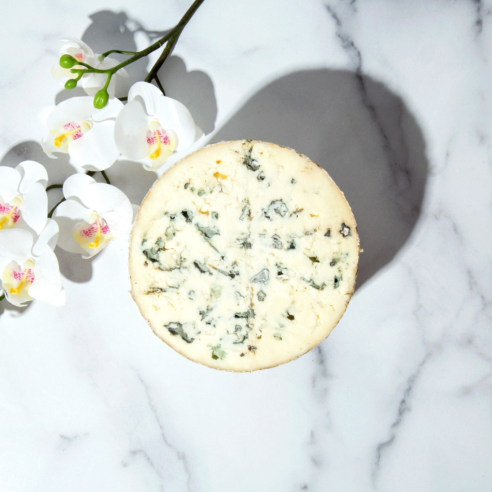 Jasper Hill Farm | Bayley Hazen Blue